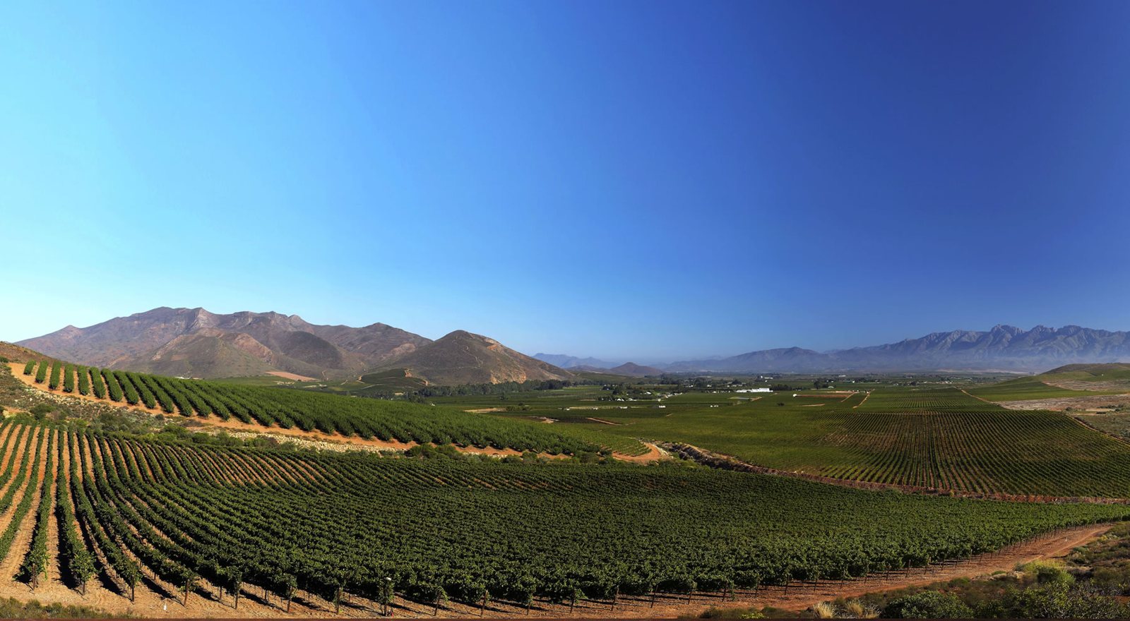 Ashton Winery