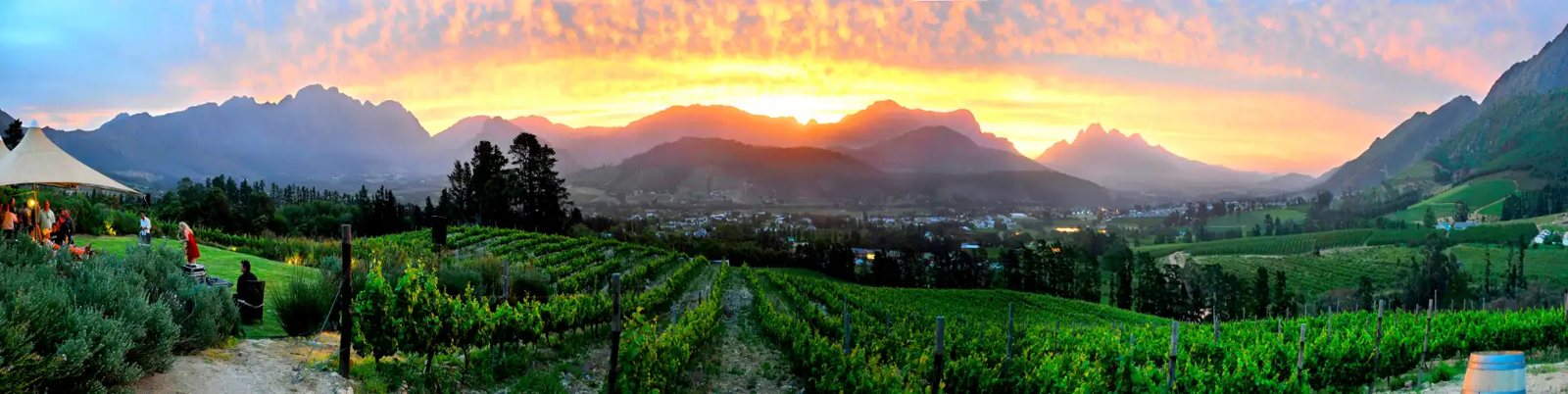 Dieu Donné Vineyards