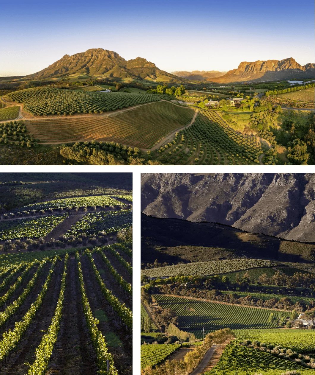 Tokara Wine Estate